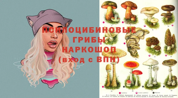 дурь Магадан