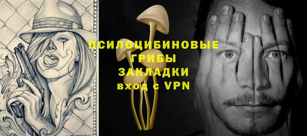 ECSTASY Магас